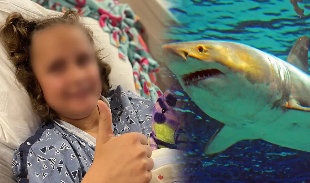 El tranquilo paseo a la playa con su abuela adoptiva, se convirtió en una historia de terror. Foto: composición LR/Ashley Glass/WPTV/AFP