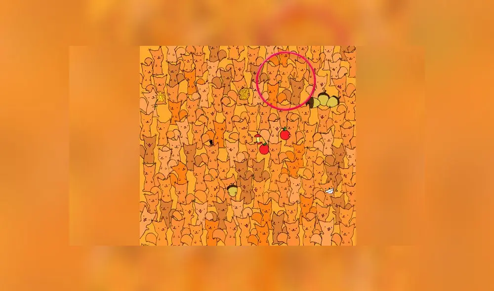 Desliza las imágenes para ver la ubicación del travieso roedor que se escondió entre pequeños zorros. Foto: Dudolf/facebook