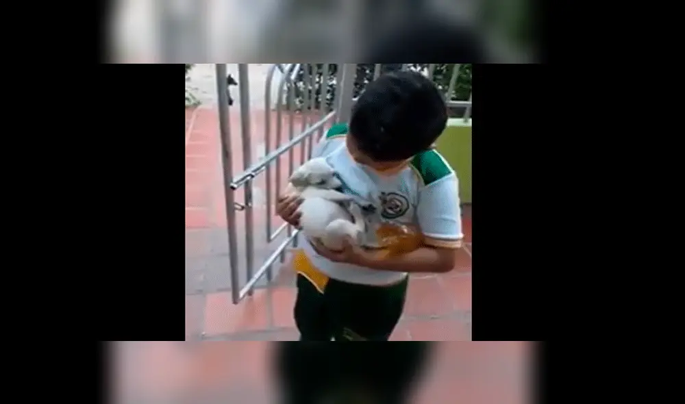 Niño es enviado a comprar a la tienda y regresa a casa con un cachorro en brazos [VIDEO]