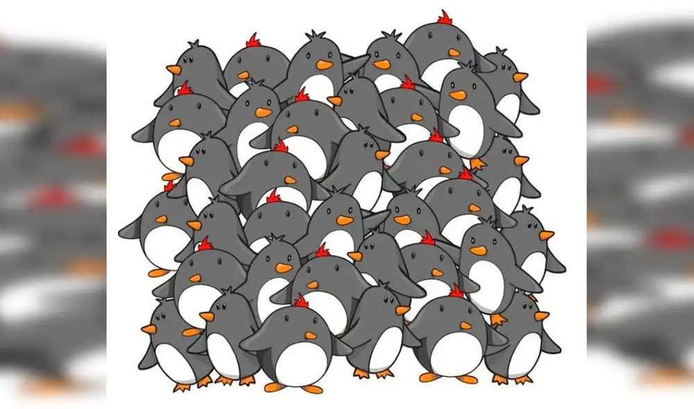 Desliza las imágenes hacia la izquierda para saber la respuesta correcta de este reciente ‘challenge’ de Facebook. Foto: Napsix.