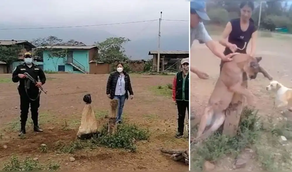 . Foto: Ministerio Público