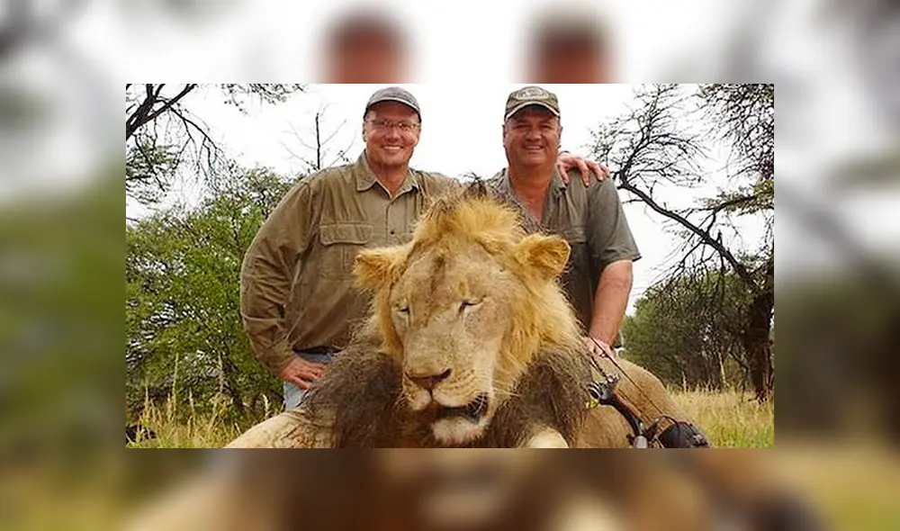 Walter Palmer junto a un león muerto. Foto:  James Breeden