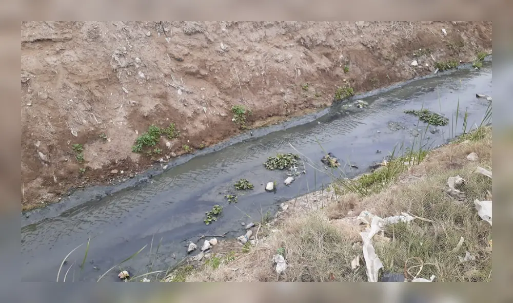 La Contraloría señaló que este problema afecta el medio ambiente y la salud de la población. Foto: Contraloría