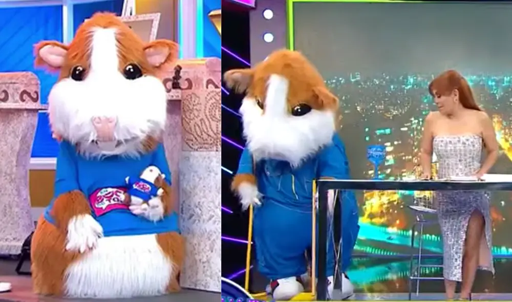 Cuy reaparece, pero visita el programa de Magaly Medina. Foto: composición LR/ captura de América TV/ captura de ATV