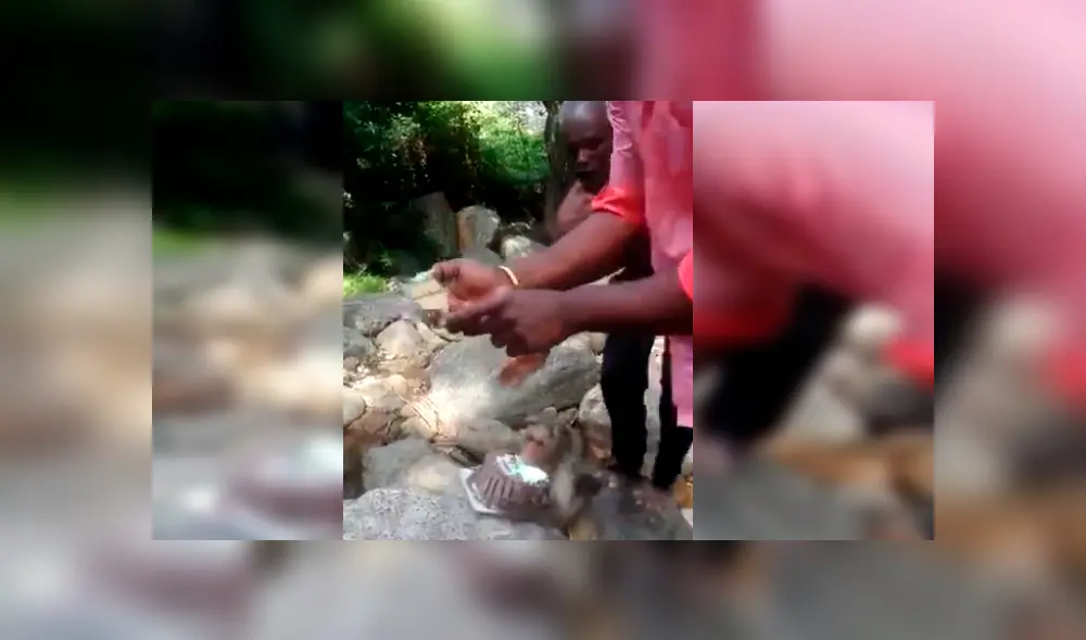 Familiares del joven lo sorprendieron con una torta de cumpleaños, sin imaginar que un travieso mono arruinaría el emotivo momento. El video es viral en Facebook Familiares del joven lo sorprendieron con una torta de cumpleaños, sin imaginar que un travieso mono arruinaría el emotivo momento. El video es viral en Facebook