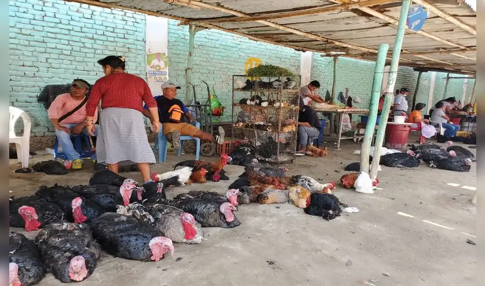 Comerciantes advierten disminución de ventas de aves de corral. Foto: Almendra Ruesta. Comerciantes advierten disminución de ventas de aves de corral. Foto: Almendra Ruesta.
