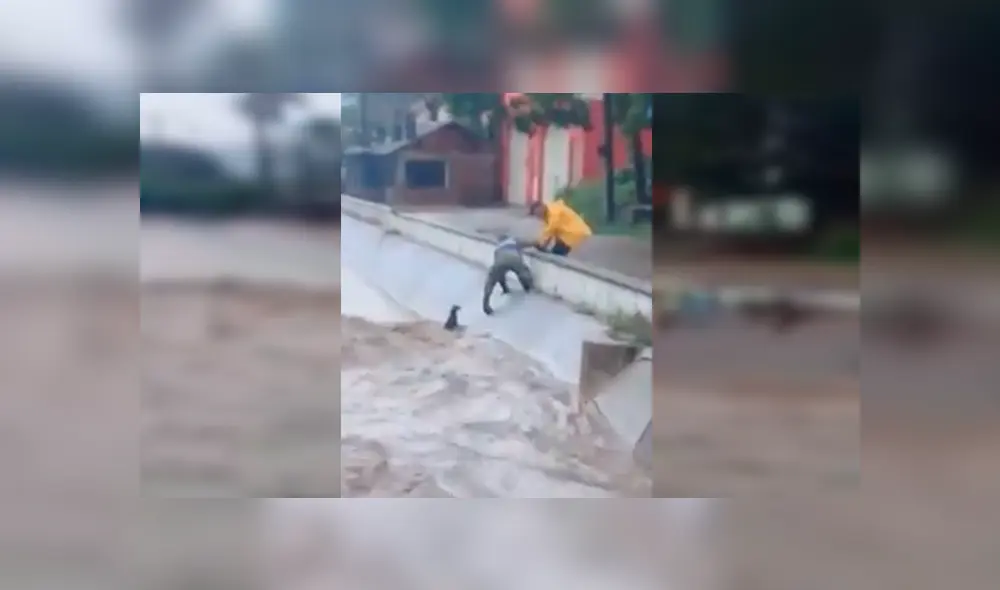 En YouTube, un chico se lanzó a un peligroso río para salvar a un perro callejero que suplicaba por ayuda. En YouTube, un chico se lanzó a un peligroso río para salvar a un perro callejero que suplicaba por ayuda.