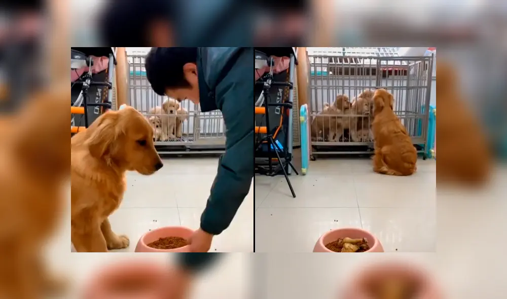 Desliza para ver todas las fotos de Facebook. Foto: captura