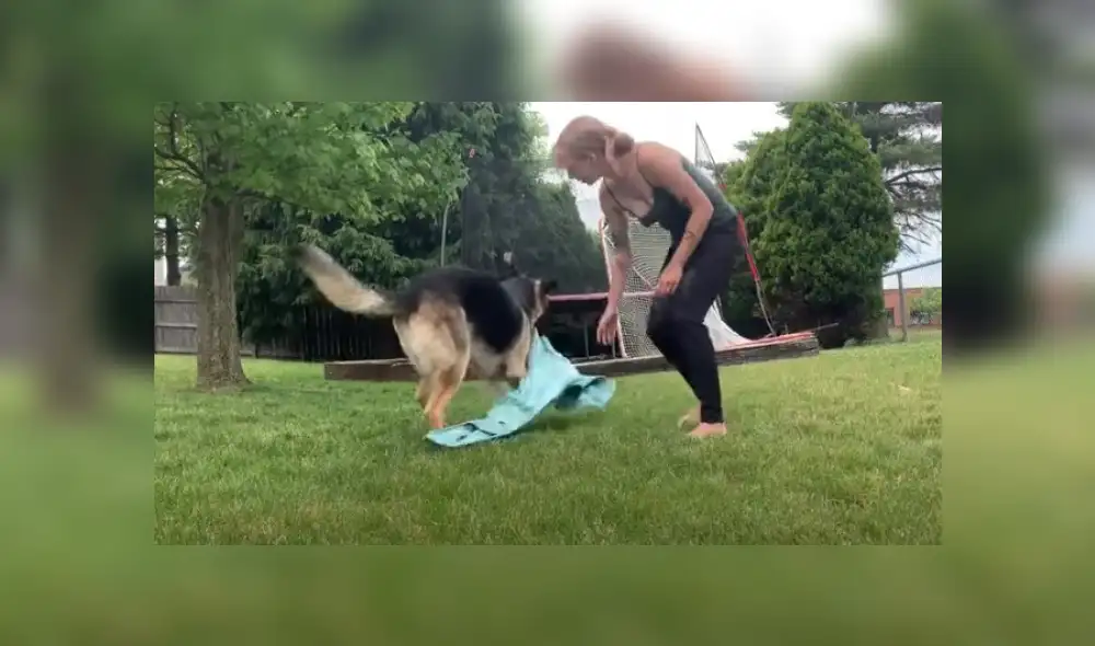 Video es viral en YouTube. El can hizo de todo para llamar la atención de su dueña e impedir que grabe su rutina de yoga. Fotocaptura: YouTube Video es viral en YouTube. El can hizo de todo para llamar la atención de su dueña e impedir que grabe su rutina de yoga. Fotocaptura: YouTube