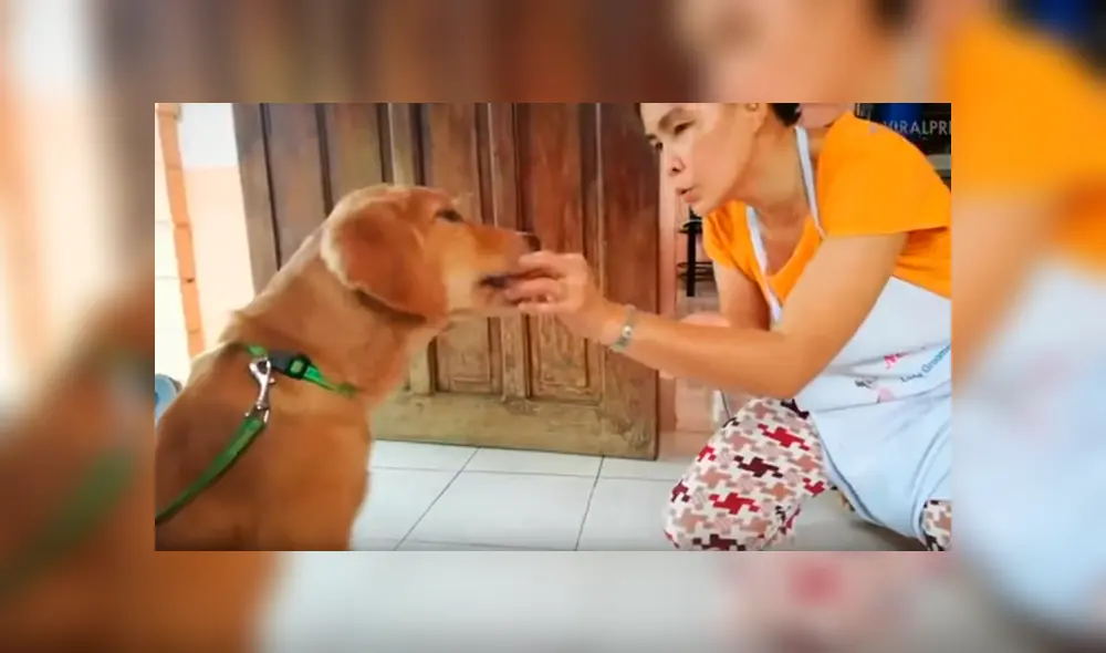 Facebook viral: Perro sorprende por su impresionante inteligencia al contar hasta 10 con su dueña [VIDEO]