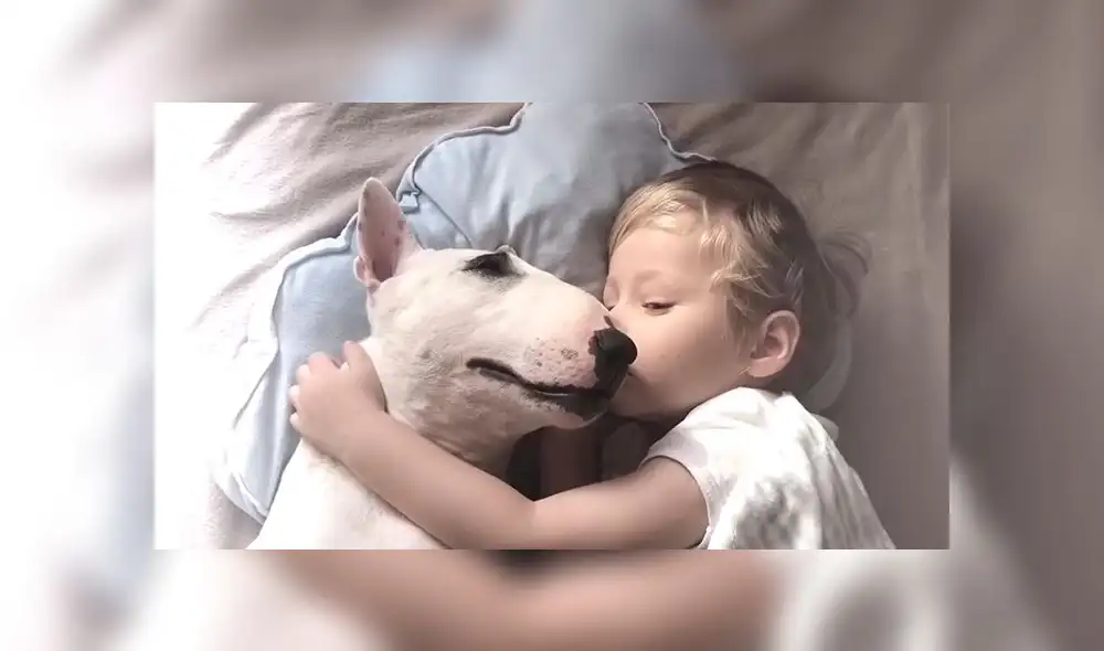 YouTube Viral: Niño y su perro conmueven a miles de usuarios por su manera peculiar de dormir [VIDEO] 