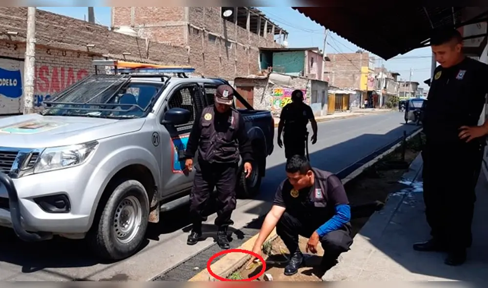 Droga fue retirada e incinerada.