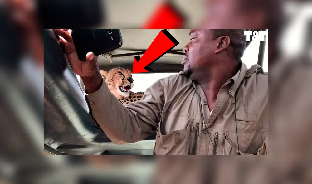 Fb Tanzania Fb Tanzania