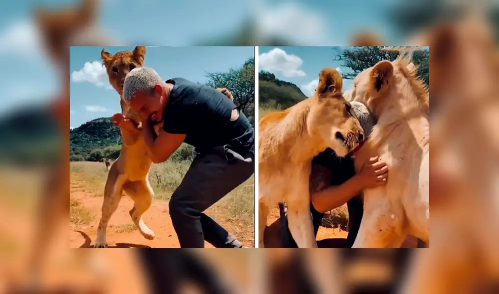 Desliza hacia la izquierda para ver la tierna escena que se volvió viral en Facebook. Desliza hacia la izquierda para ver la tierna escena que se volvió viral en Facebook.