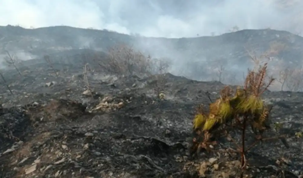Incendios forestales en Cusco a punto de llegar a zona arqueológica. Foto: Gore Cusco