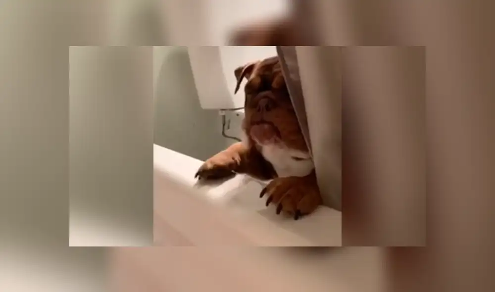 Desliza a la izquierda para conocer más sobre este nuevo video viral de Facebook. Foto: Captura. Desliza a la izquierda para conocer más sobre este nuevo video viral de Facebook. Foto: Captura.