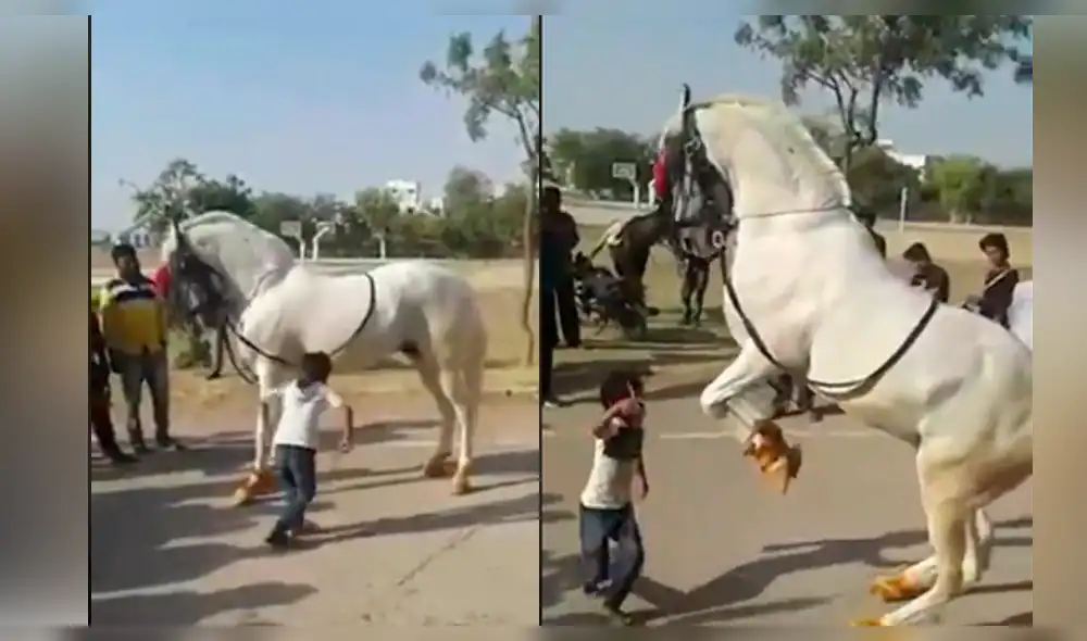 Facebook: caballo baila cumbia con un niño y sus pasos impresionan [VIDEO]