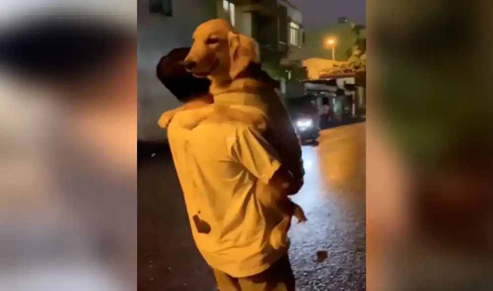 Desliza las imágenes para apreciar la tierna escena que protagonizó un joven junto a su perro durante un paseo. Foto: captura de YouTube Desliza las imágenes para apreciar la tierna escena que protagonizó un joven junto a su perro durante un paseo. Foto: captura de YouTube