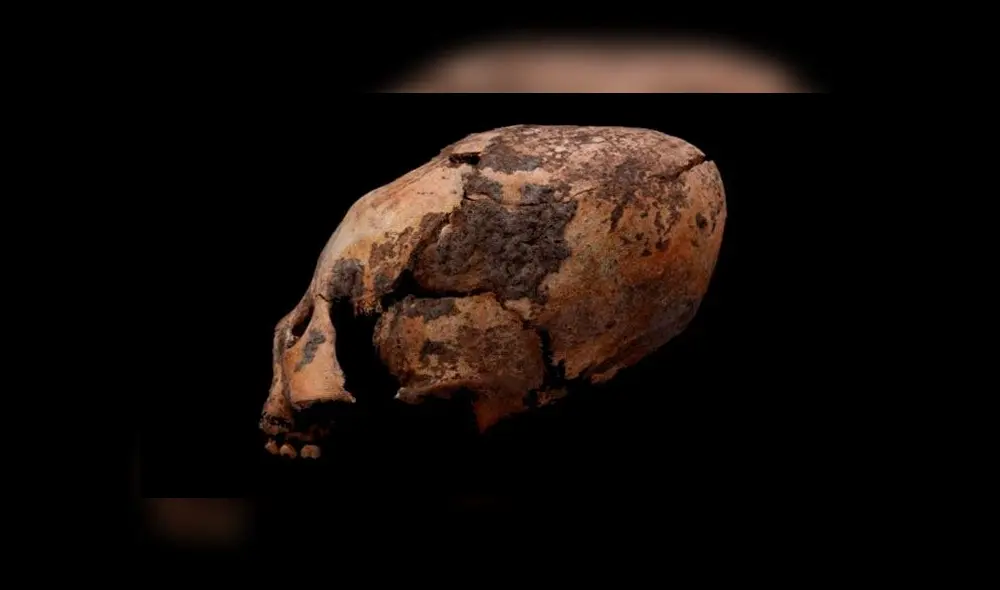 Cráneo modificado hallado en China. Foto: American of Physical Anthropology.