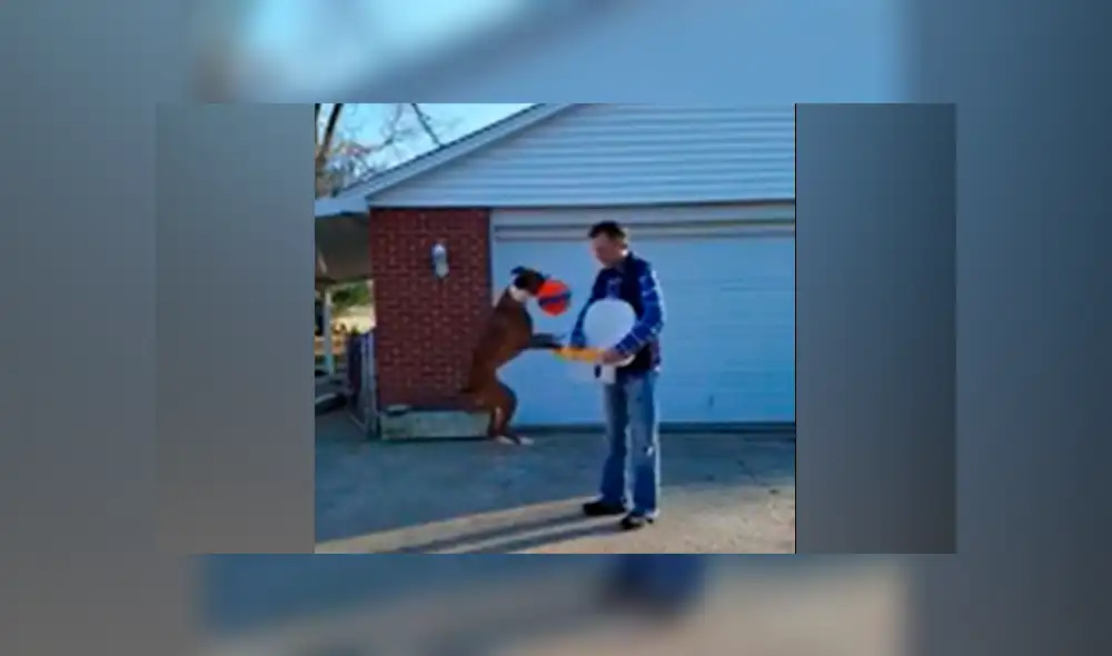 Desliza a la izquierda para ver más fotos del curioso perro jugando al básquet. (Foto: captura)