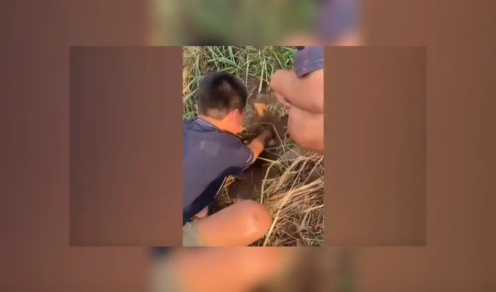 Desliza hacia la izquierda para ver el conmovedor rescate que se volvió viral en Facebook.