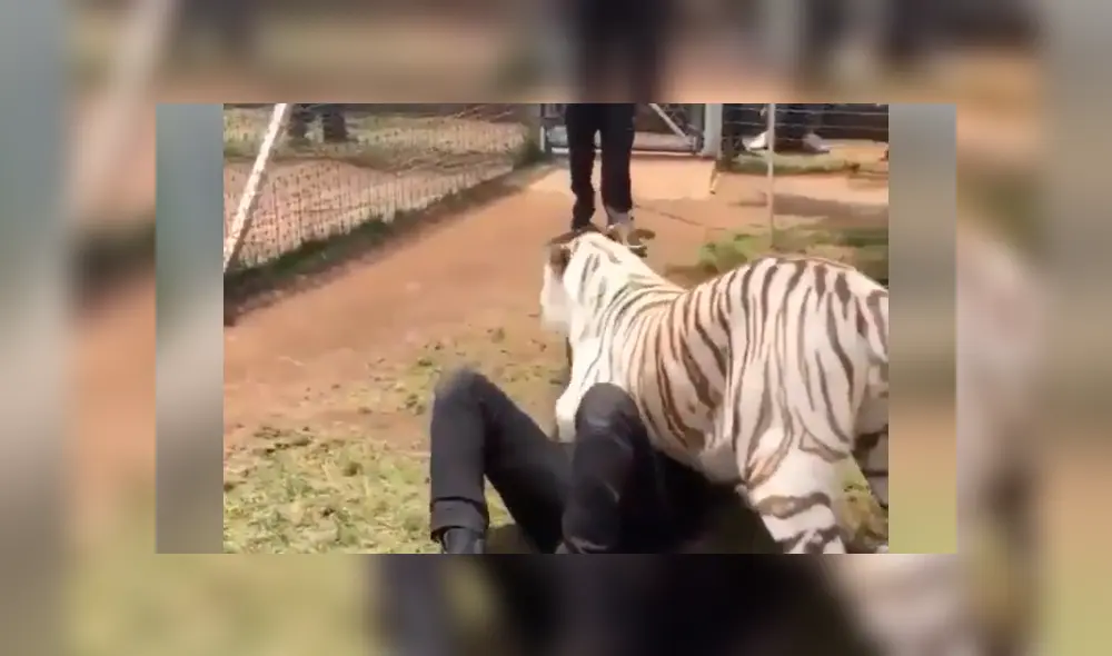 Desliza hacia la izquierda para ver el reencuentro que se hizo viral en YouTube. Desliza hacia la izquierda para ver el reencuentro que se hizo viral en YouTube.