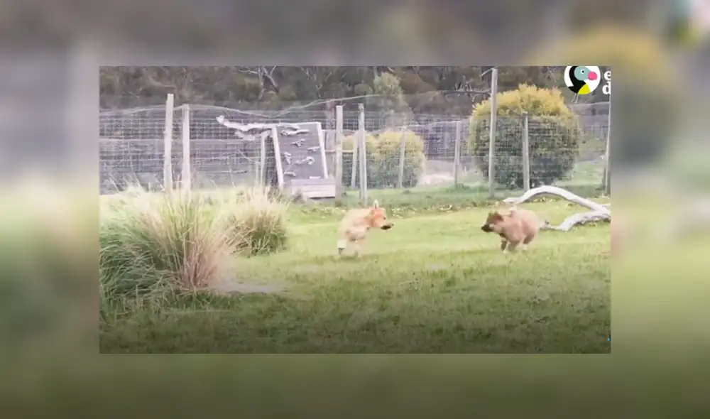 Desliza hacia la izquierda para ver las imágenes del viral de YouTube. Foto: Captura.