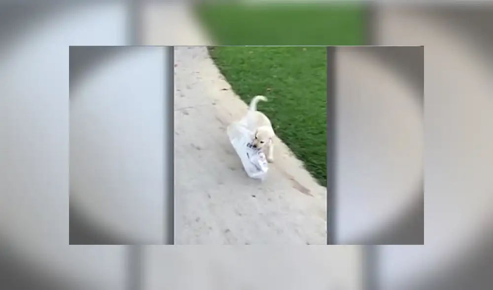 Desliza para ver los detalles del video viral de Facebook. Foto: Captura.