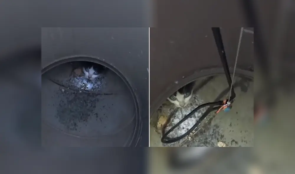 Unos rescatistas salvaron la vida del pequeño felino que estaba atorado en un hoyo. Foto: Facebook