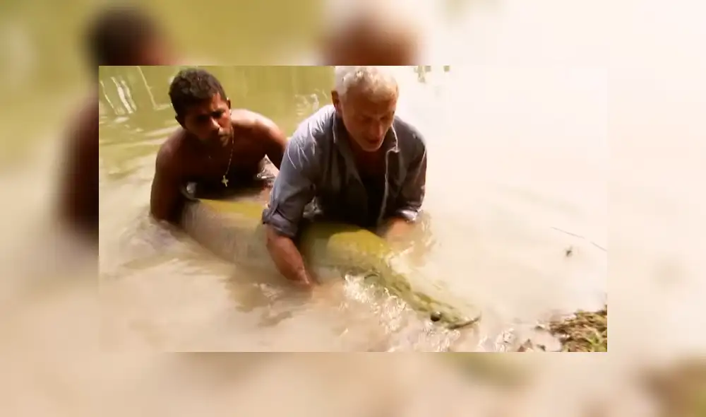 YouTube viral: monstruosa criatura atrapada en río aterra a pescadores [VIDEO]