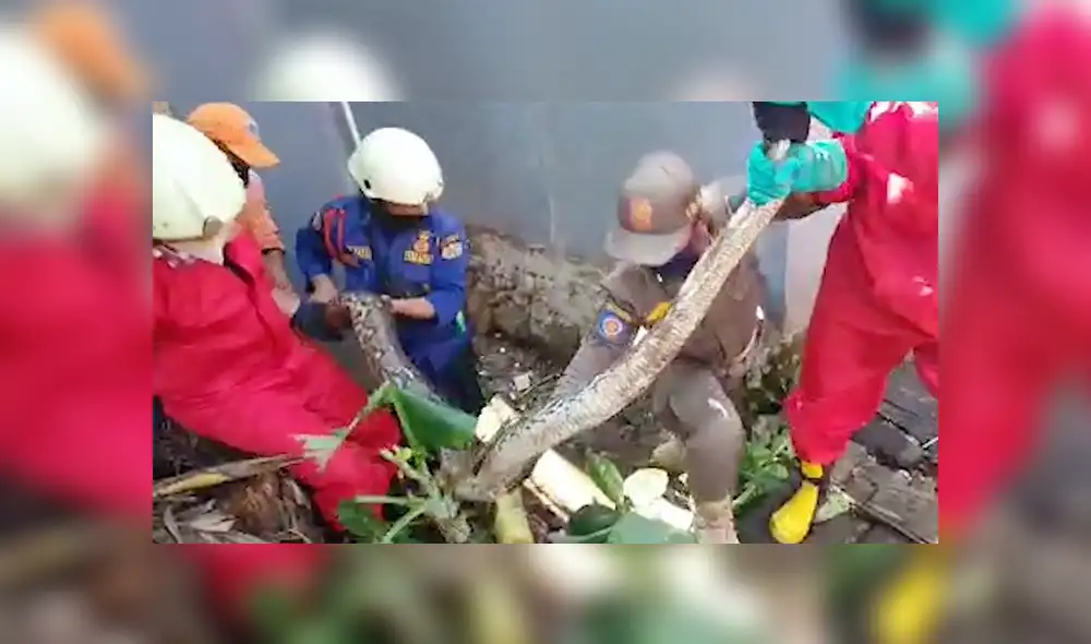Desliza hacia la izquierda para ver las imágenes del viral de Facebook. Foto: Captura.