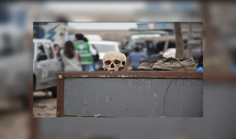 Hallan cráneo humano en chanchería clandestina