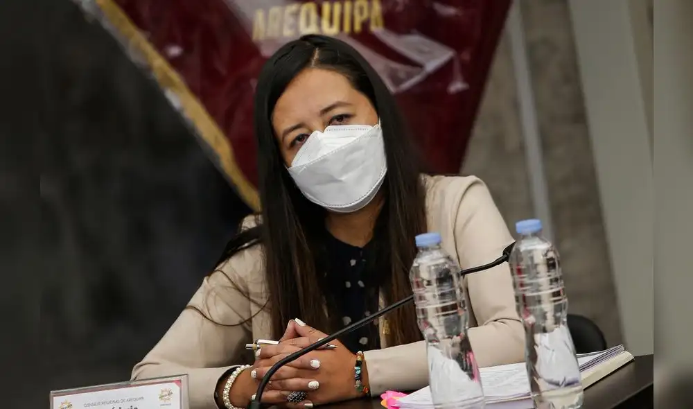 revisión. Consejera Salas evidencio reducido gasto.