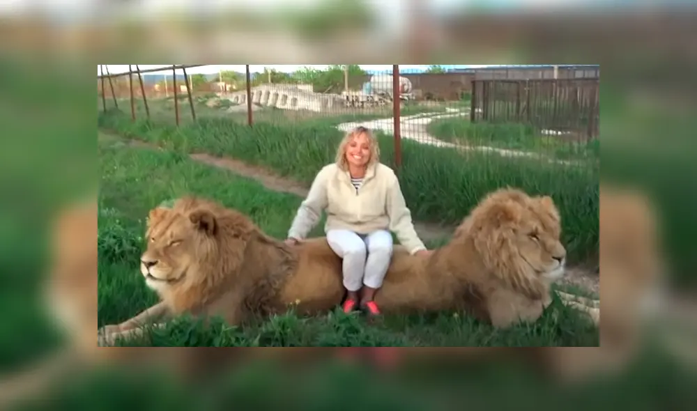 Desliza hacia la izquierda para ver la reacción que tuvo el gigantesco león tras encontrarse con la turista. El video es viral en YouTube.