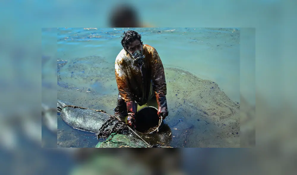 Voluntarios vienen trabajando para extraer el aceite. Foto: AFP