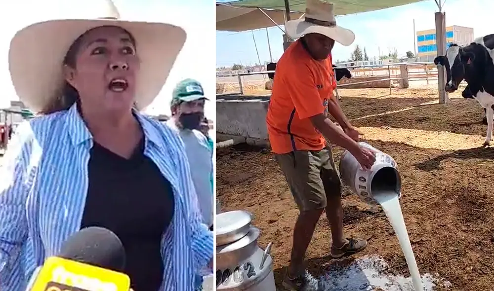 Leche es arrojada en establos. Foto: Composición LR/ captura Frase Corta