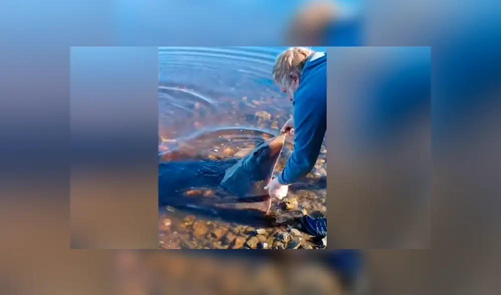 Facebook viral: ve una criatura venenosa varada en playa, la alimenta y sucede lo inesperado [VIDEO] 