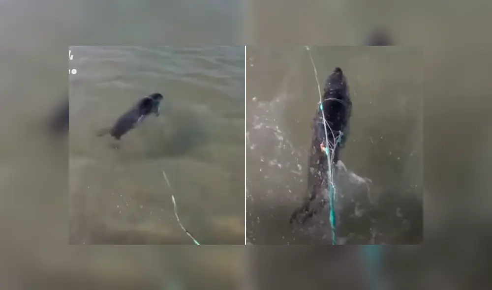 Desliza para ver los momentos más impactantes del video que se hizo viral en Facebook. Desliza para ver los momentos más impactantes del video que se hizo viral en Facebook.