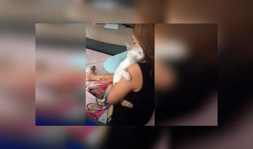 Desliza hacia la izquierda para ver más del video viral