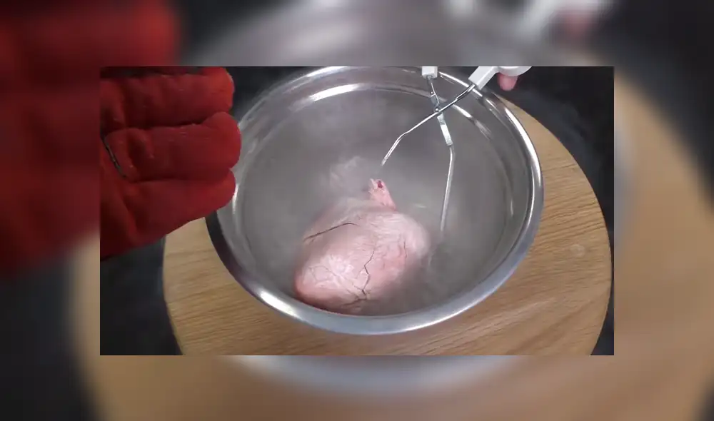 Desliza para ver el desenlace de este video viral de YouTube. Foto: Captura. Desliza para ver el desenlace de este video viral de YouTube. Foto: Captura.