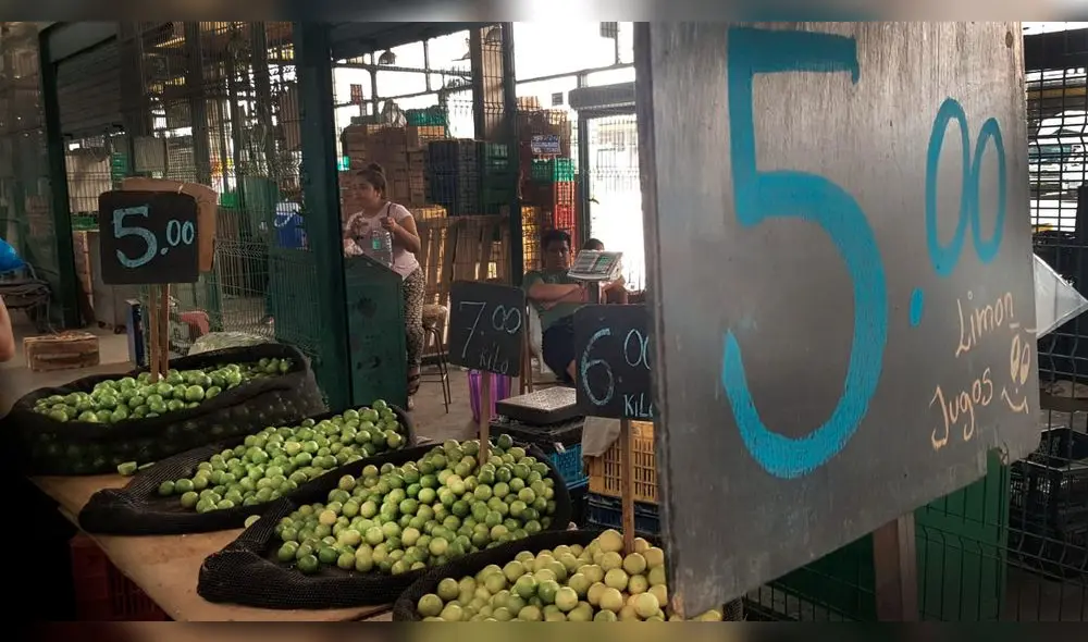 Alza del precio del limón se debe a especulación de minoristas