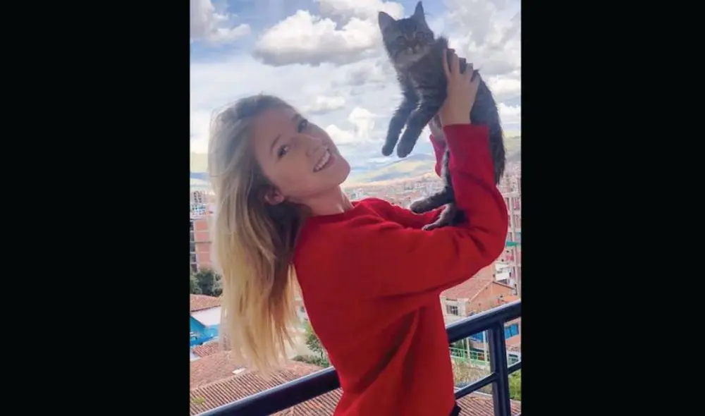 Lee fue adoptado en Cusco pero podría ser sacrificado en Bélgica. Foto: Facebook