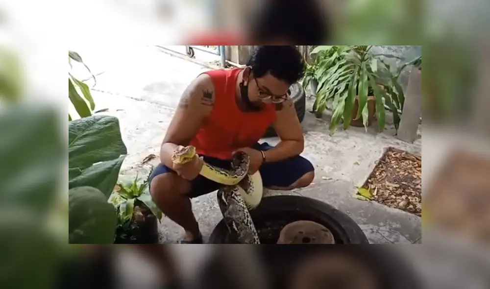 Desliza hacia la izquierda para ver las imágenes del viral de YouTube. Foto: Captura. Desliza hacia la izquierda para ver las imágenes del viral de YouTube. Foto: Captura.