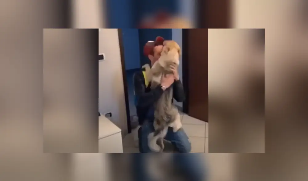 A través de YouTube se hizo viral el tierno reencuentro entre un perro y su dueño.