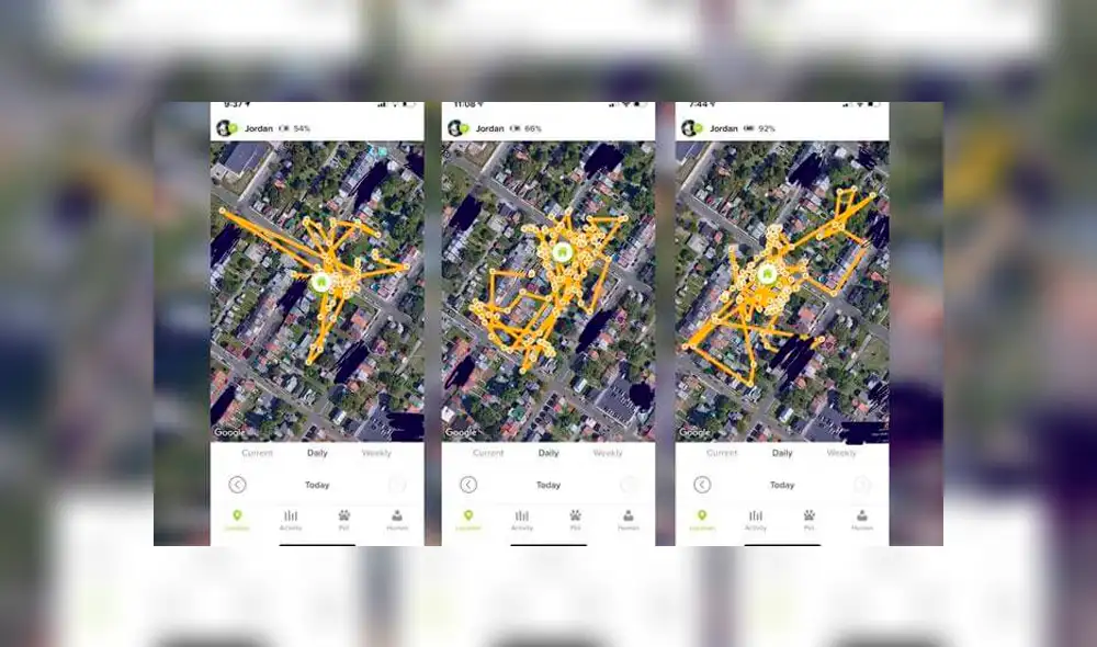 Desliza la imagen para ver fotos del grupo de Facebook. Foto: Jordan The Feline Cat Burglar