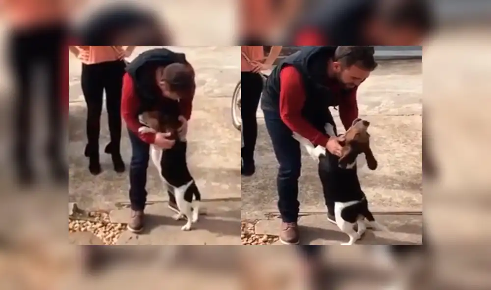 Facebook: perro vuelve a ver a su dueño luego de 18 meses y su reacción enternece a todos [VIDEO]