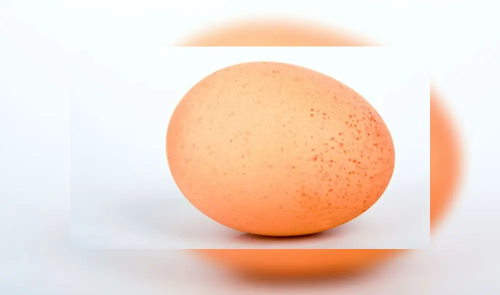 Métodos para identificar si los huevos están buenos o malos para el consumo humano. Foto: web 'Publicdomainpicture'.