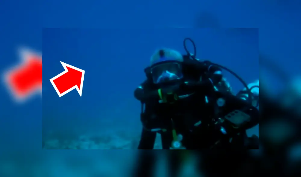 En YouTube se compartió el aterrador hallazgo que hizo un pescador dentro del río. En YouTube se compartió el aterrador hallazgo que hizo un pescador dentro del río.