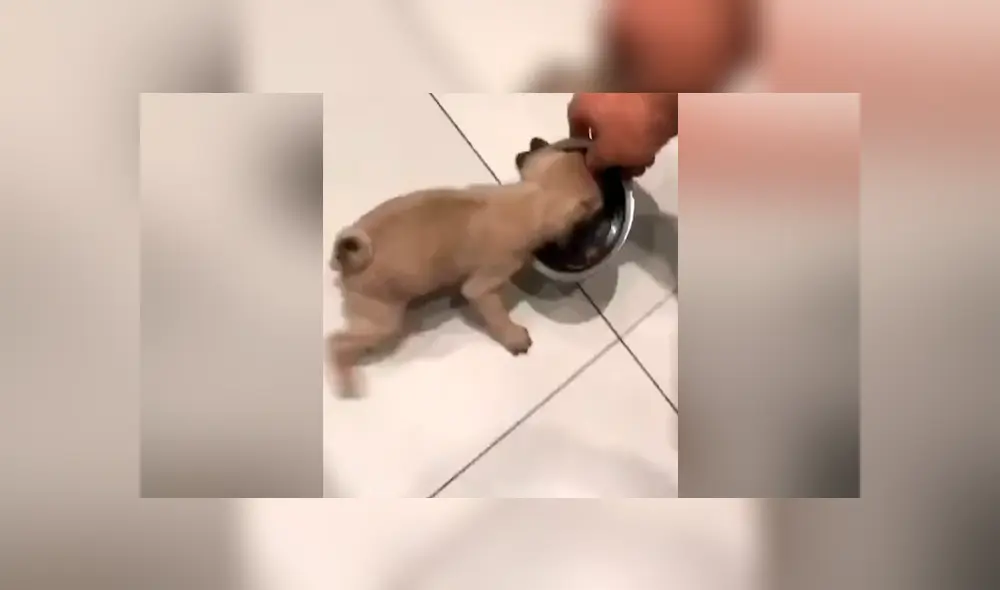 Desliza para ver el emotivo momento que se hizo viral en YouTube. Desliza para ver el emotivo momento que se hizo viral en YouTube.