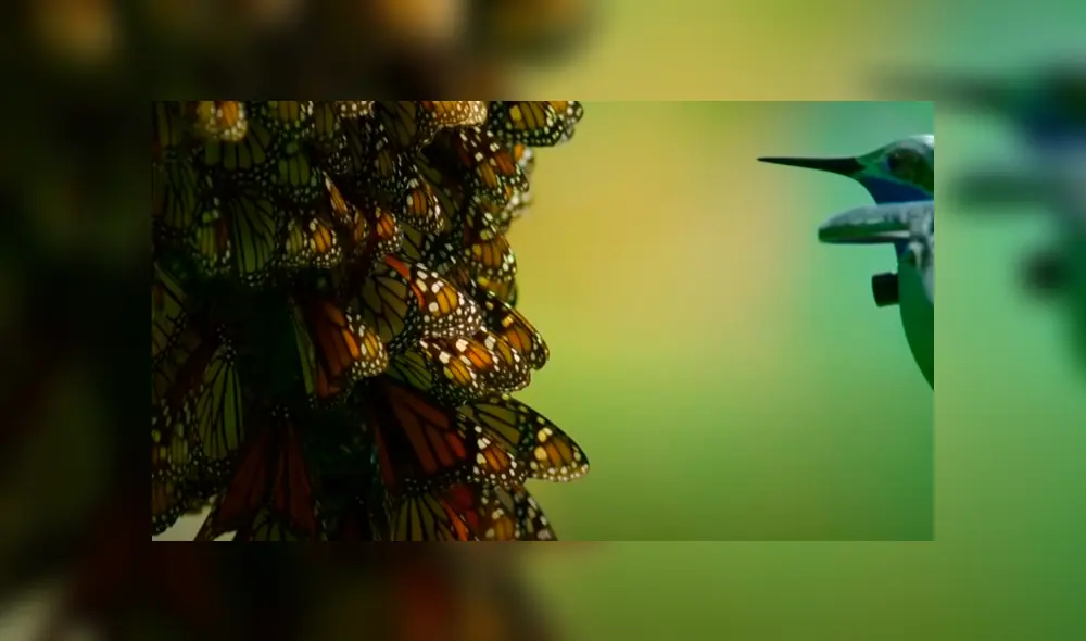 Desliza la imagen de Facebook para verlas todas. Desliza la imagen de Facebook para verlas todas.